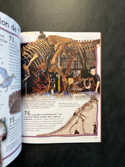 100 infos à connaître - T-Rex