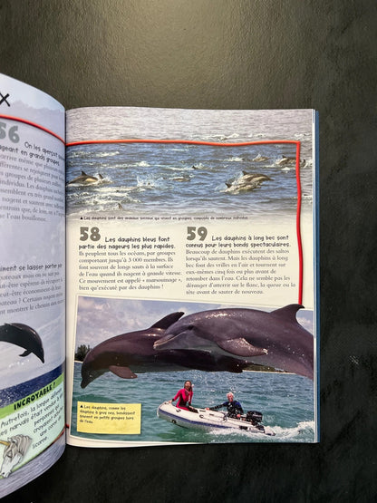 100 infos à connaître - baleines et dauphins