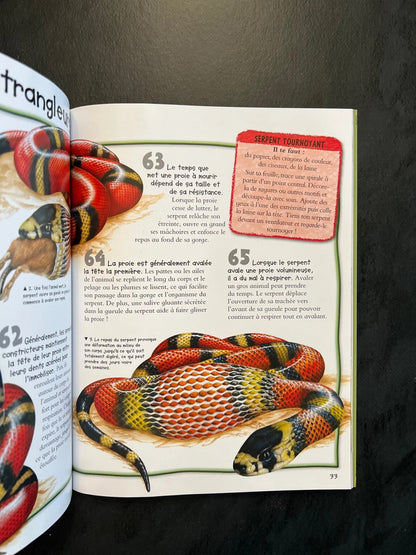 100 infos à connaître - les reptiles