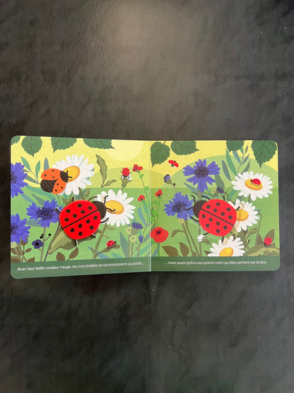 Livre cartonné - insectes et petites bêtes