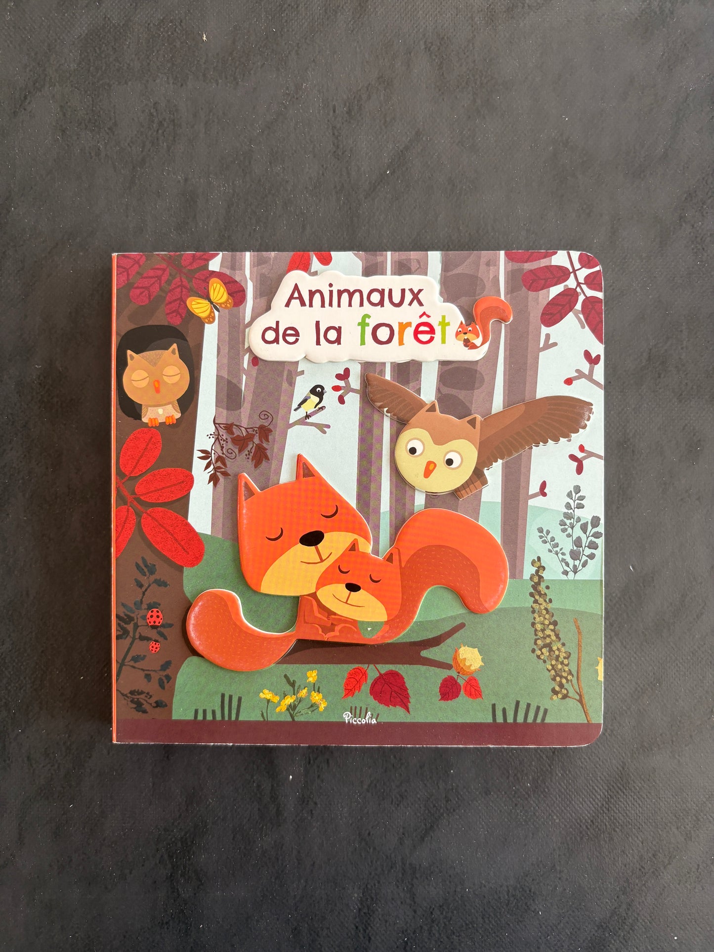 Livre cartonné - animaux de la forêt