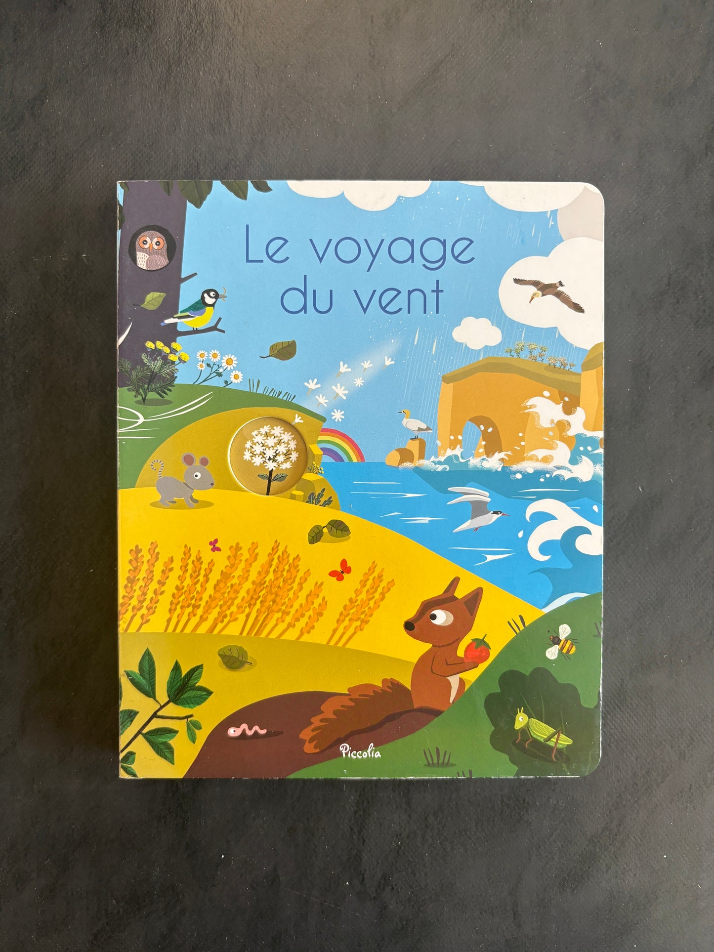 Livre cartonné - le voyage du vent