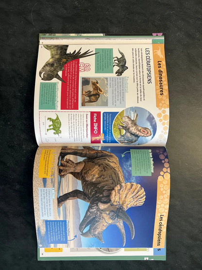 Tout comprendre - les dinosaures