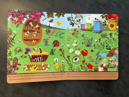 Livre cartonné - de la graine au fruit