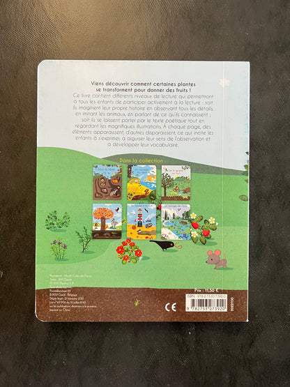 Livre cartonné - de la graine au fruit