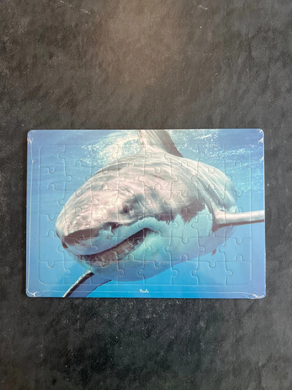 Puzzle - requin
