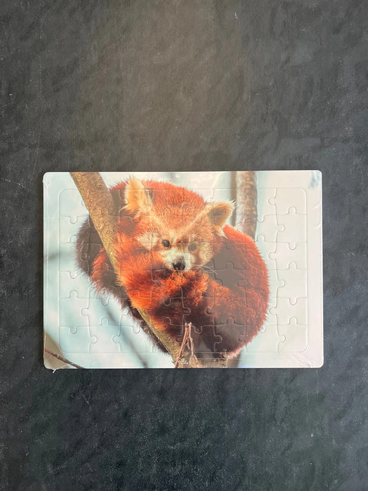 Puzzle - panda roux