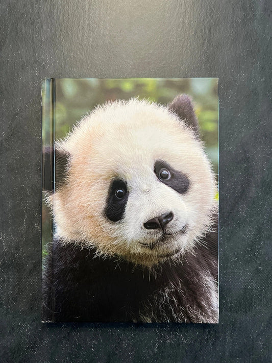 Carnet de notes - panda