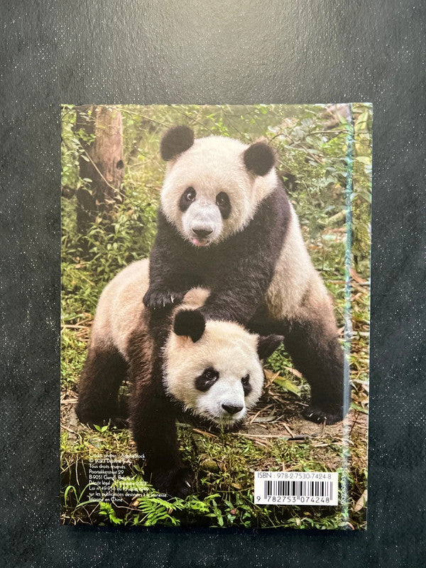Carnet de notes - panda