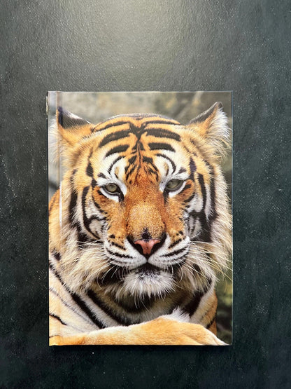 Carnet de notes - tigre