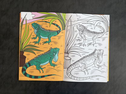 Livre de coloriage - Les reptiles