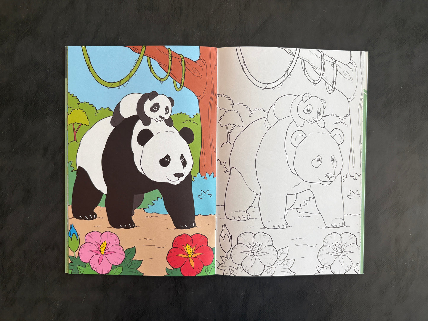 Livre de coloriage - Les animaux de la jungle