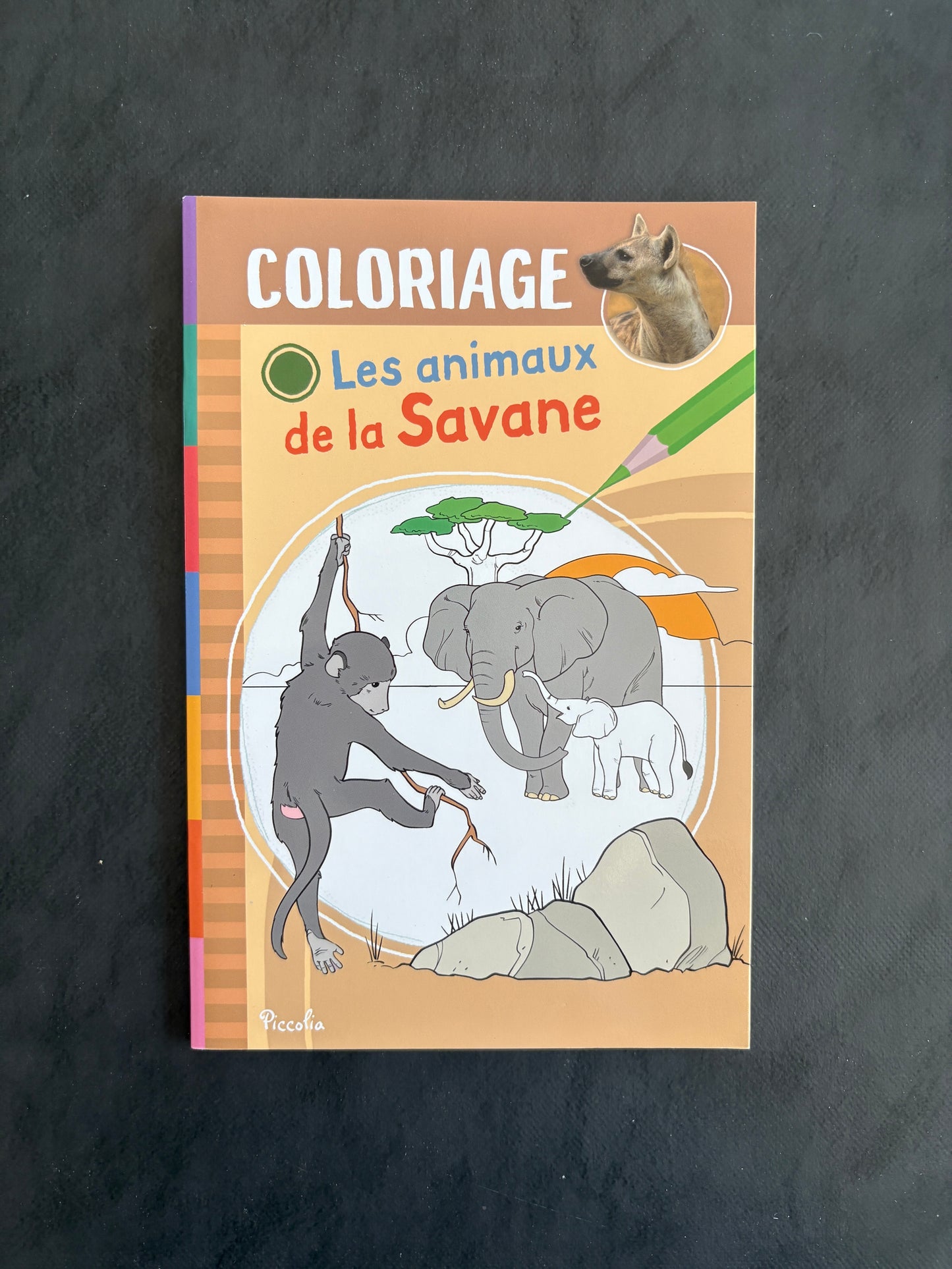 Livre de coloriage - Les animaux de la savane