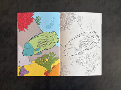 Livre de coloriage - Les animaux de récifs