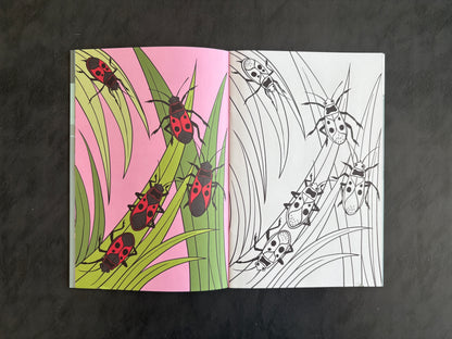 Livre de coloriage - Les insectes