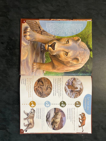 40 questions/réponses - les animaux préhistoriques