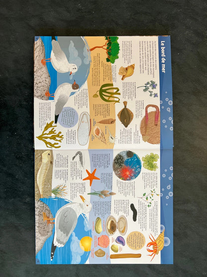 Plongée dans les mers et océans