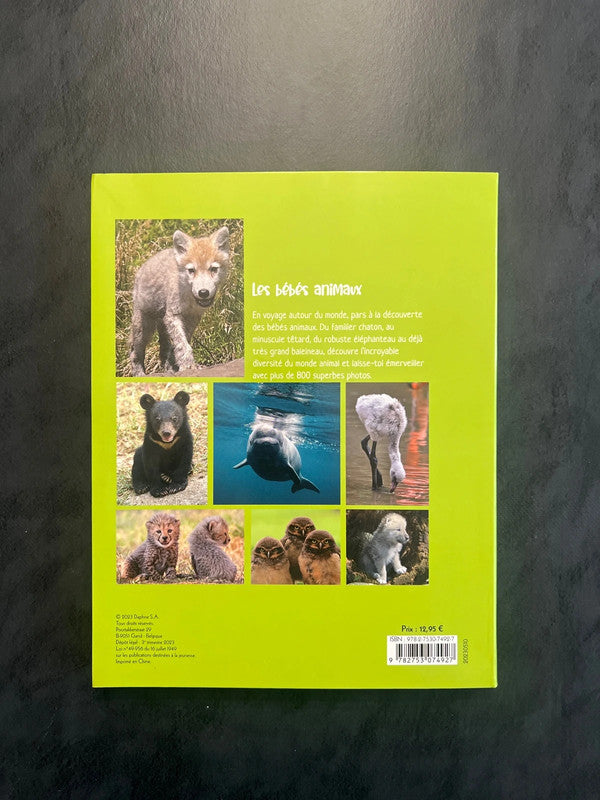 Livre - les bébés animaux