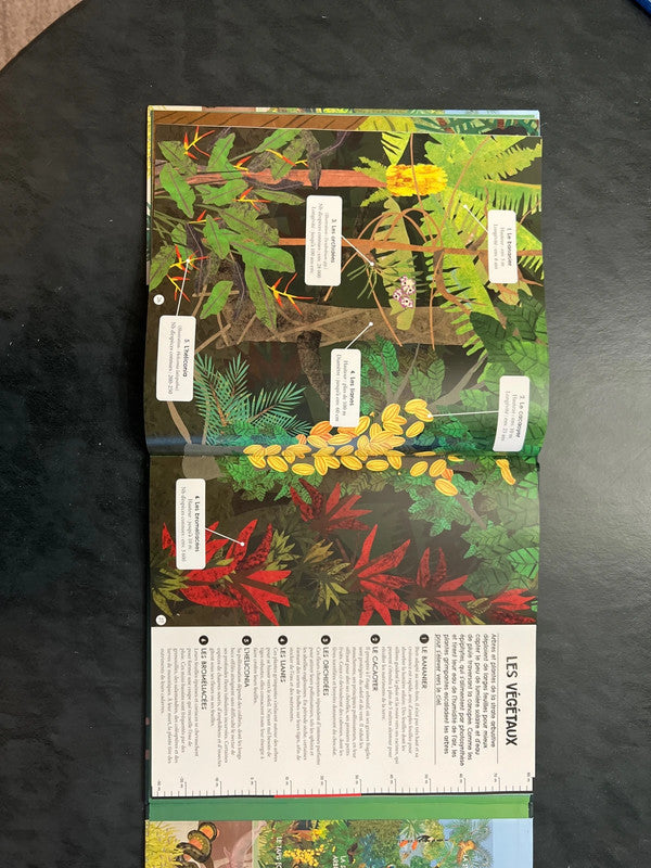 Voyage au cœur de la forêt amazonienne