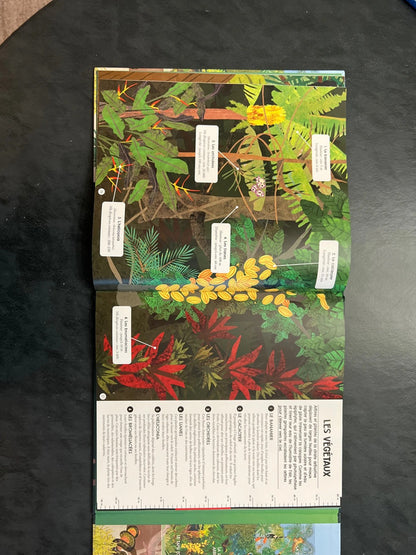 Voyage au cœur de la forêt amazonienne