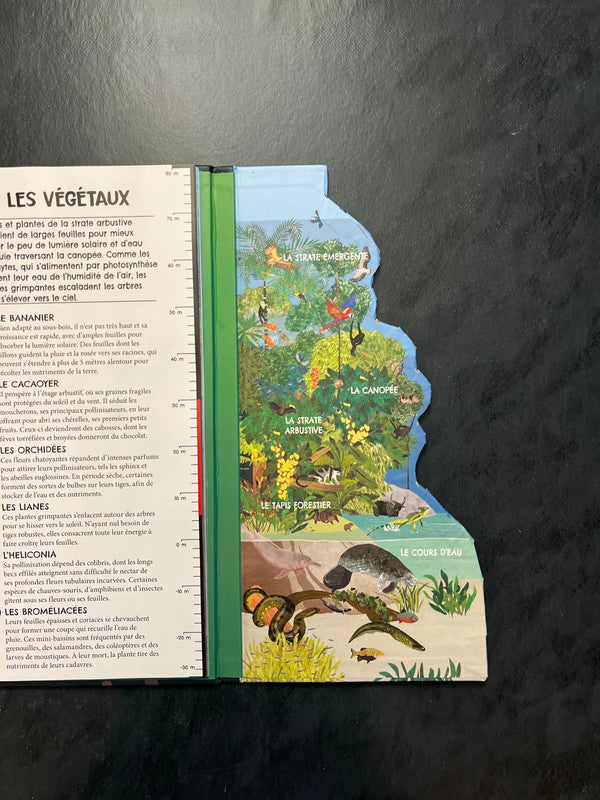 Voyage au cœur de la forêt amazonienne