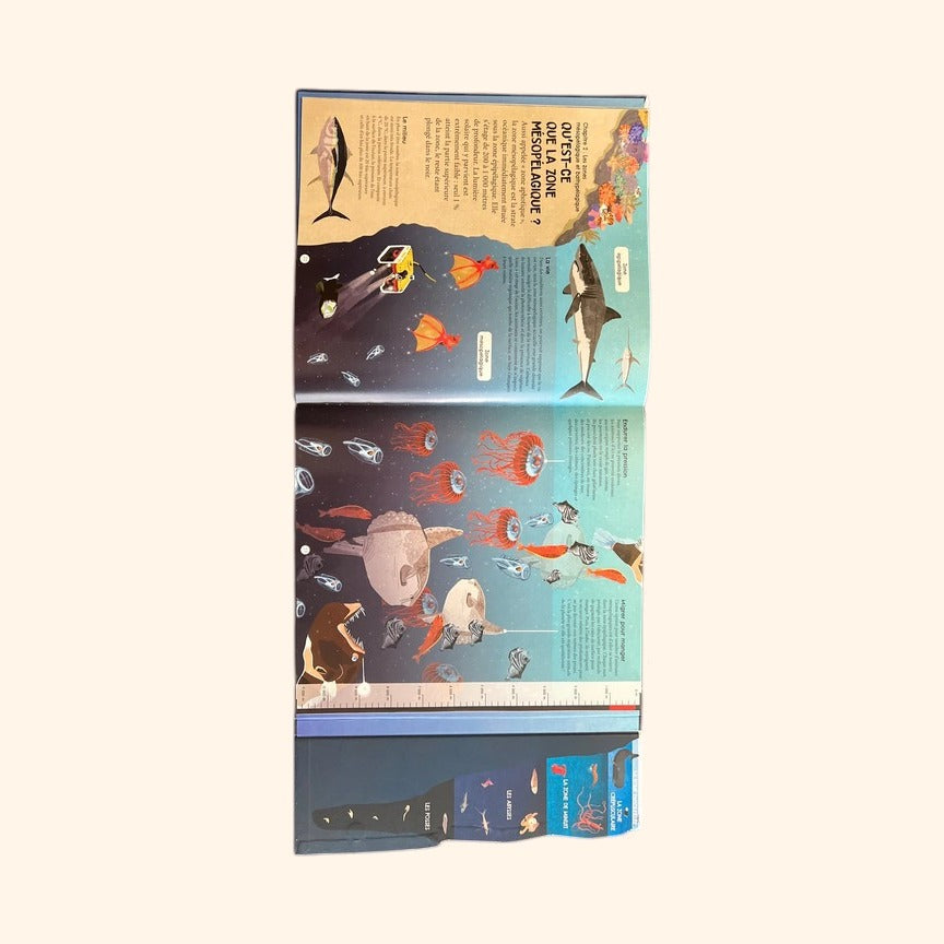 Voyage au cœur des océans - Découverte du monde marin (7-10 ans)