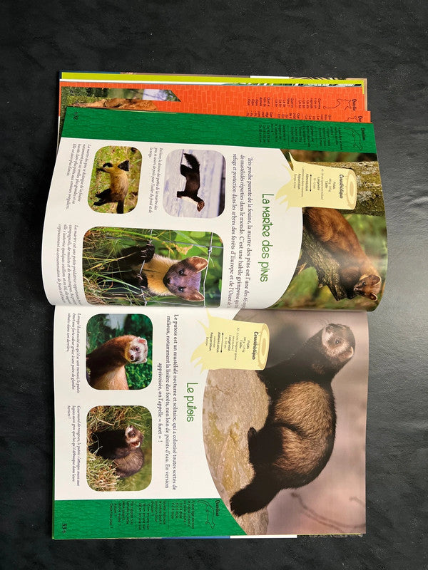 Mon grand animalier du monde