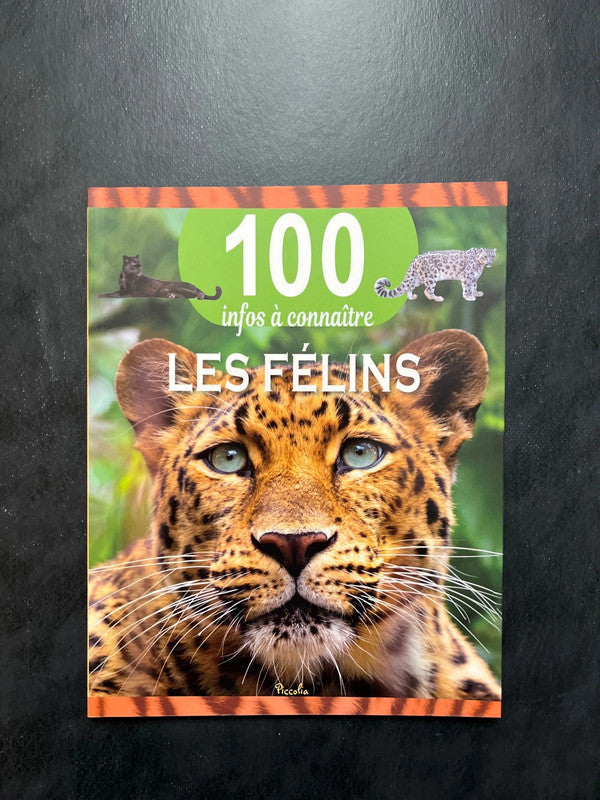 100 infos à connaître - les félins