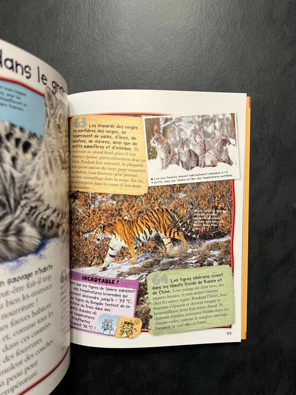 100 infos à connaître - les félins