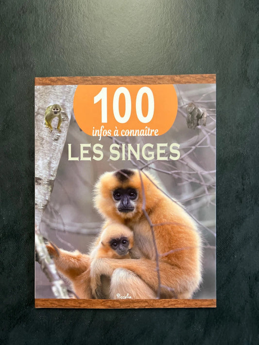 100 infos à connaître - les singes