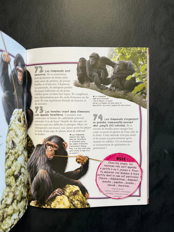 100 infos à connaître - les singes