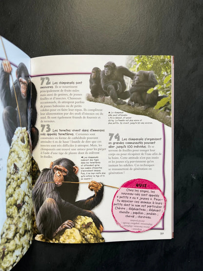 100 infos à connaître - les singes