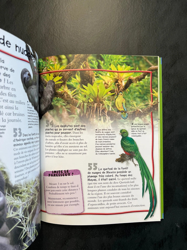 100 infos à connaître - les forêts tropicales