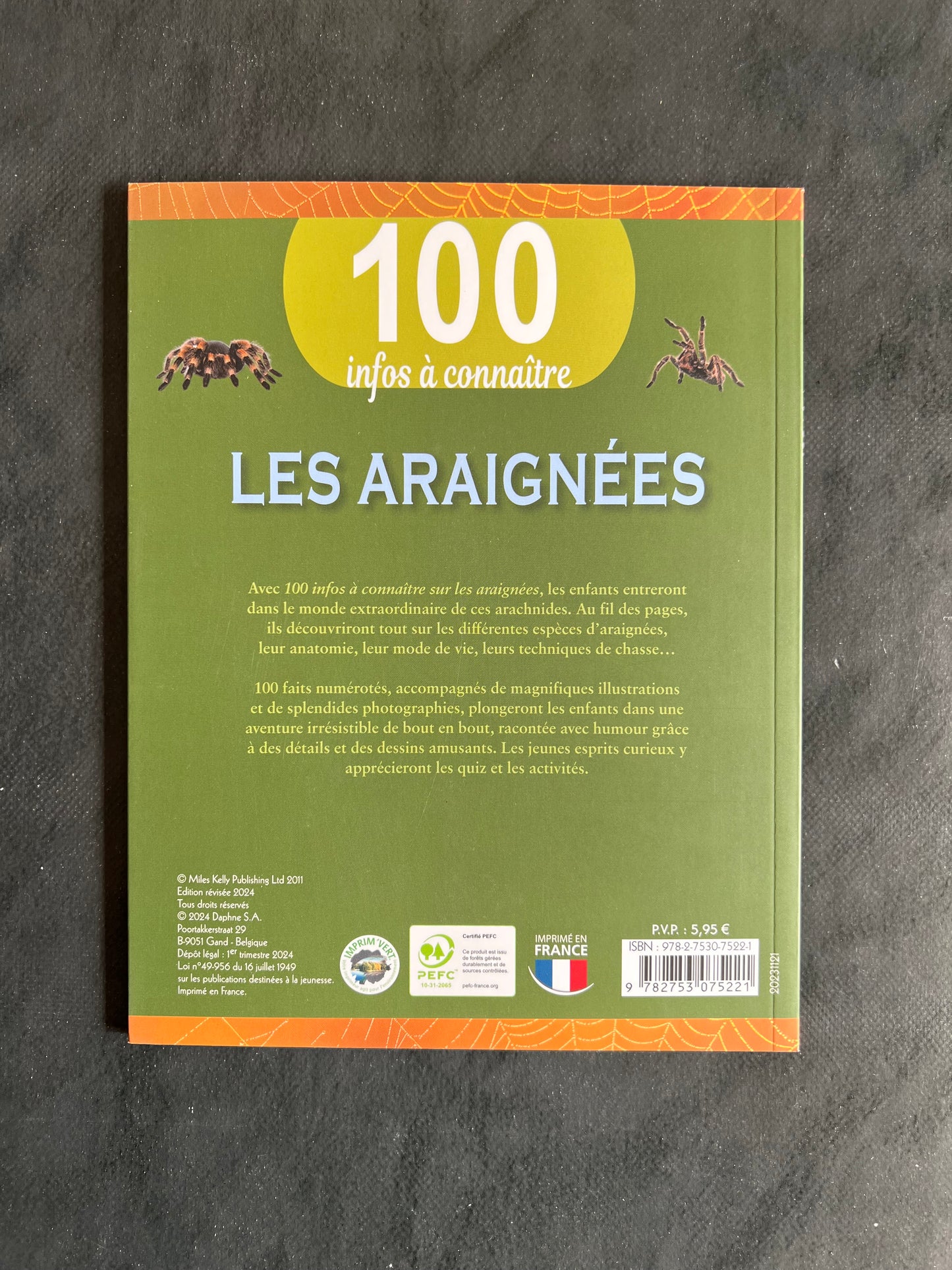 100 infos à connaître - les araignées