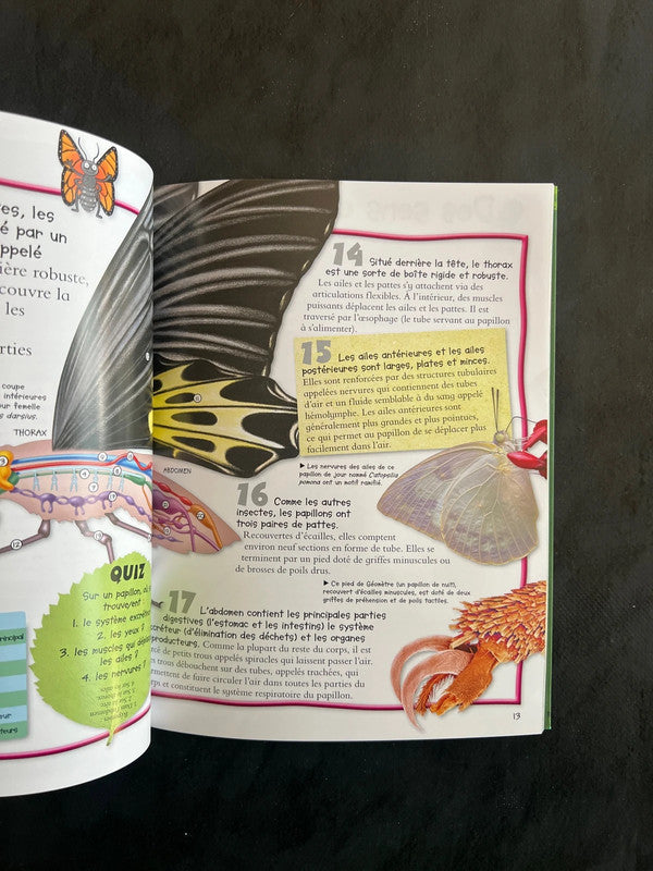 Livre 100 infos à connaître - les papillons
