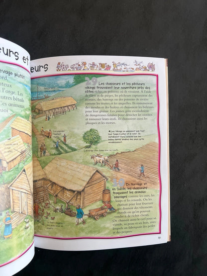 Livre 100 infos à connaître - les vikings