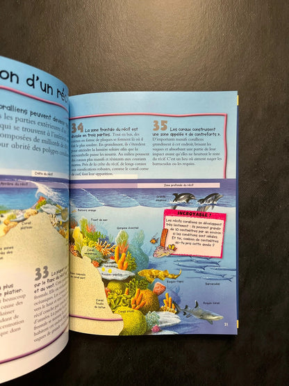 100 infos à connaître - les récifs coraliens