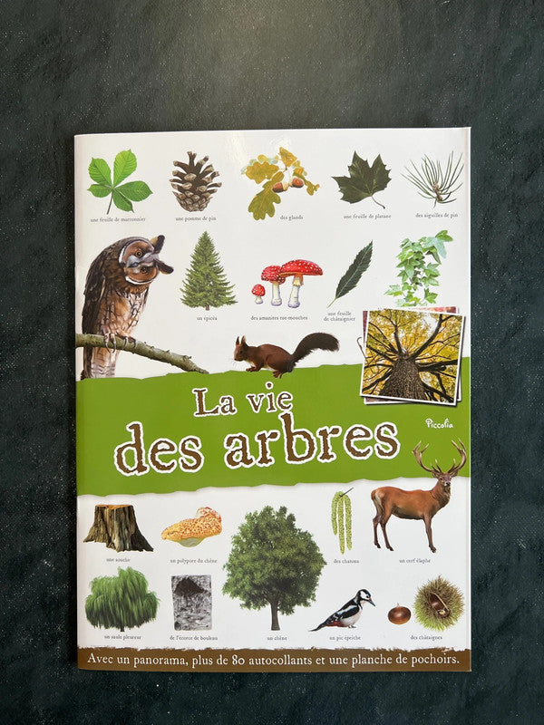 Livre d’activités - la vie des arbres