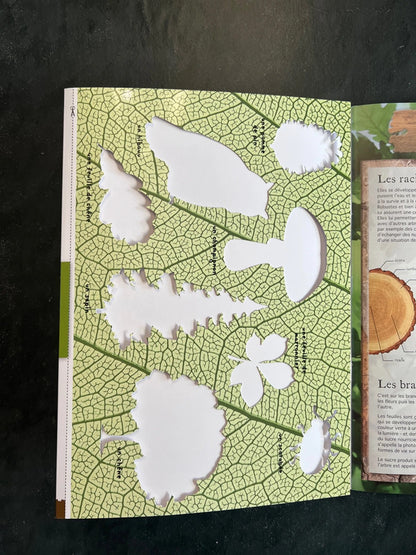 Livre d’activités - la vie des arbres
