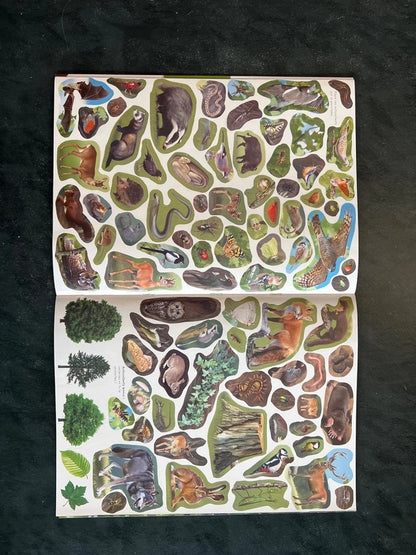 Livre d’activités - la vie des arbres