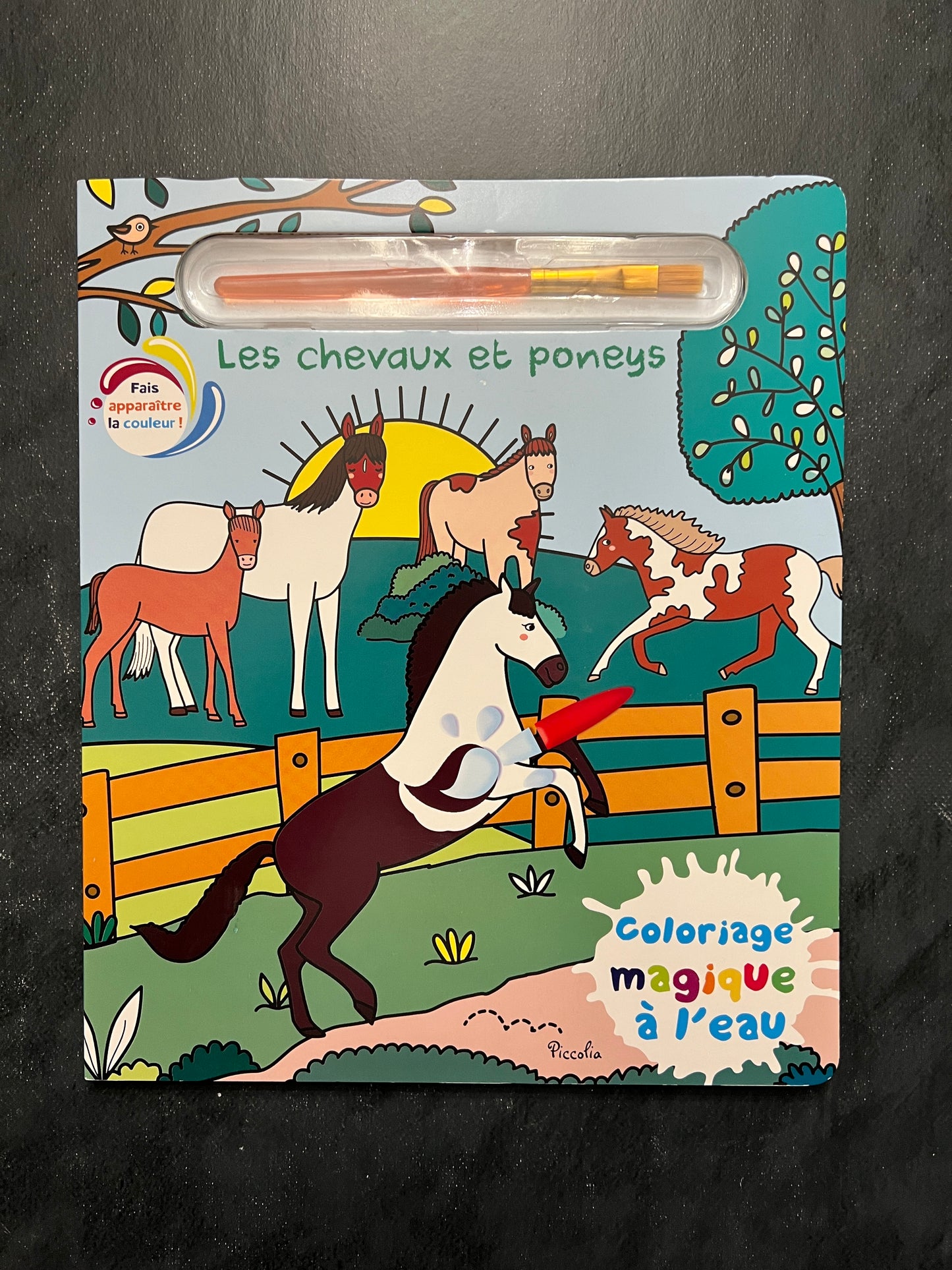 Coloriage magique à l'eau - les chevaux et poneys