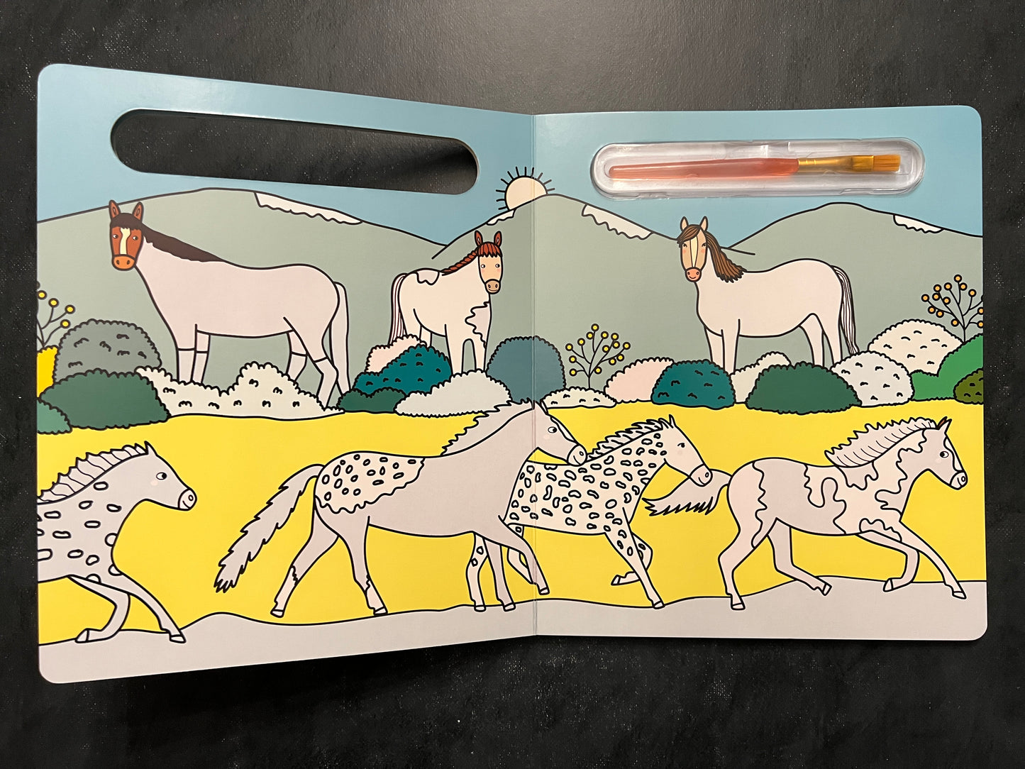 Coloriage magique à l'eau - les chevaux et poneys