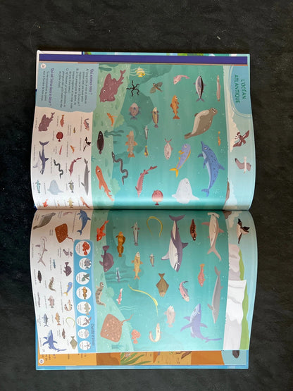 Cherche et trouve documentaire