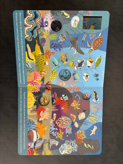 Livre cartonné - dans les mers