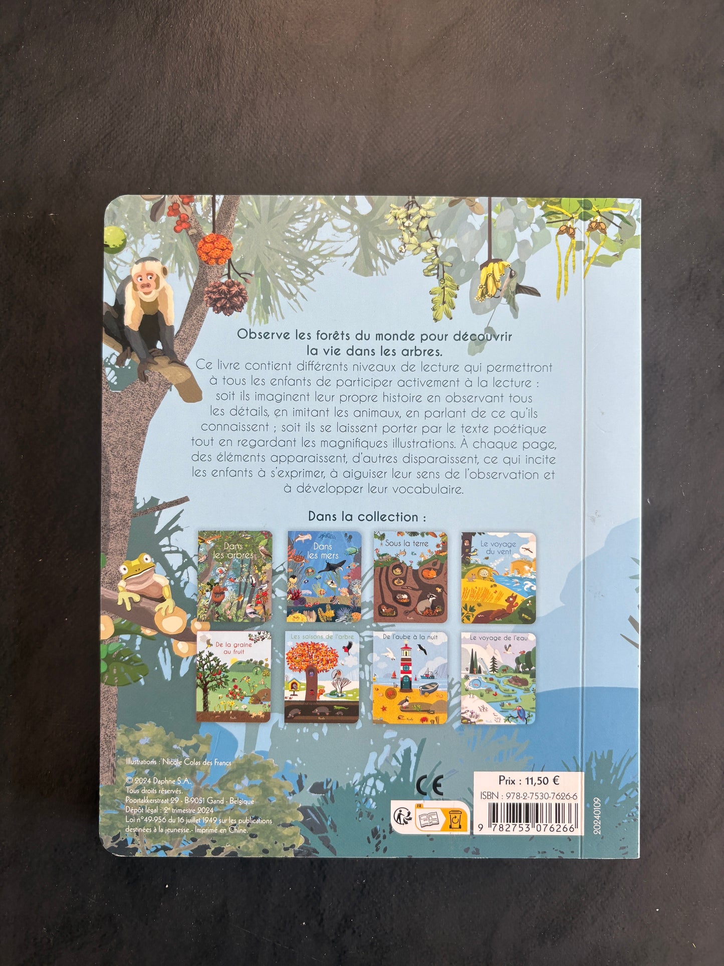 Livre cartonné - dans les arbres