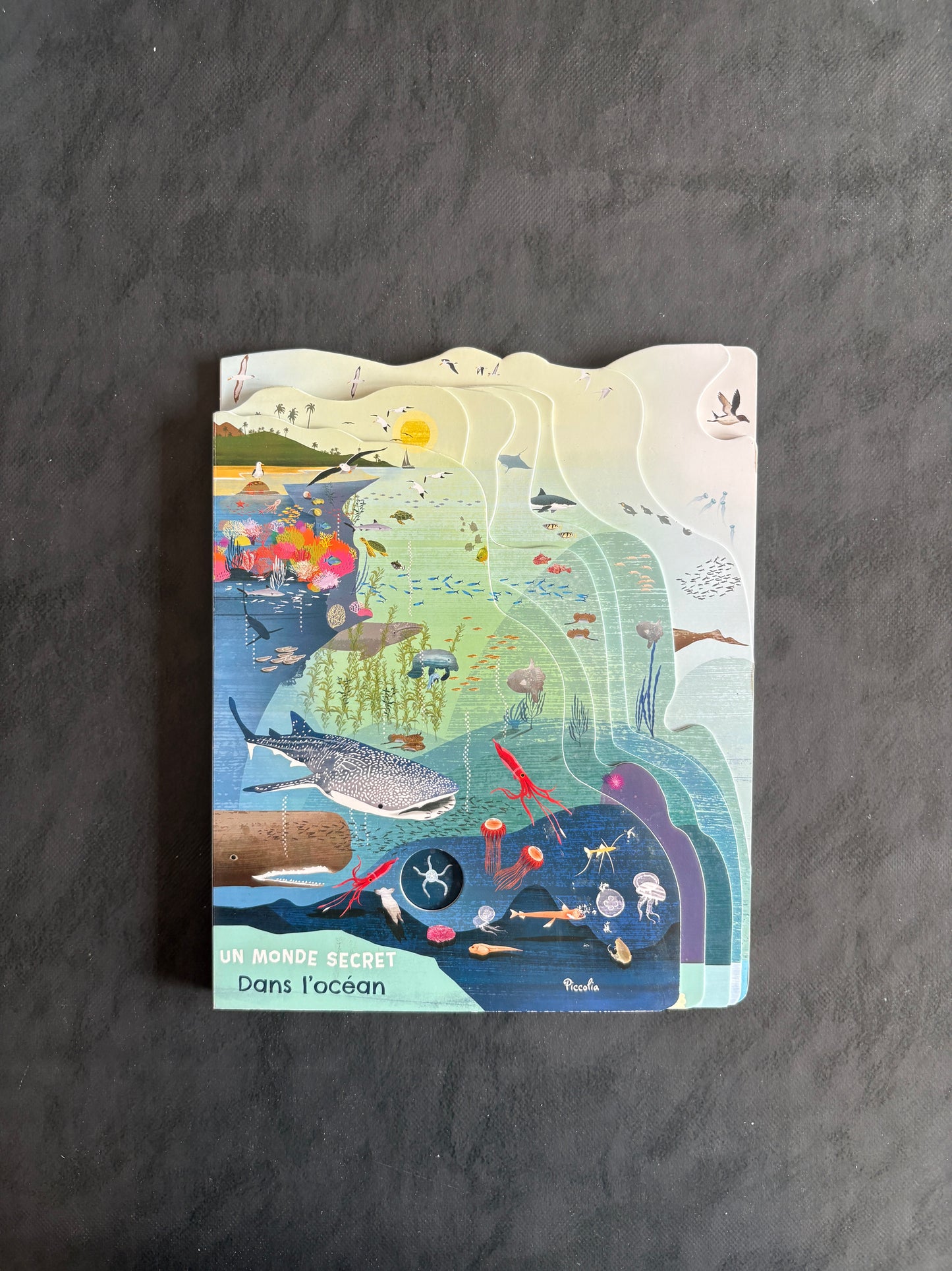 Un monde secret dans l'océan