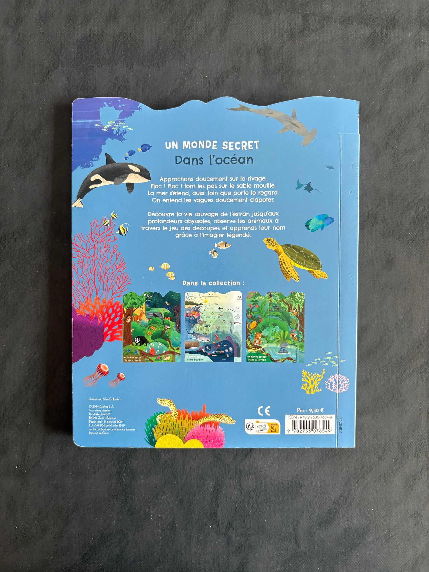 Un monde secret dans l'océan