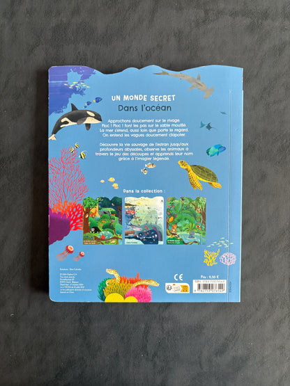 Un monde secret dans l'océan