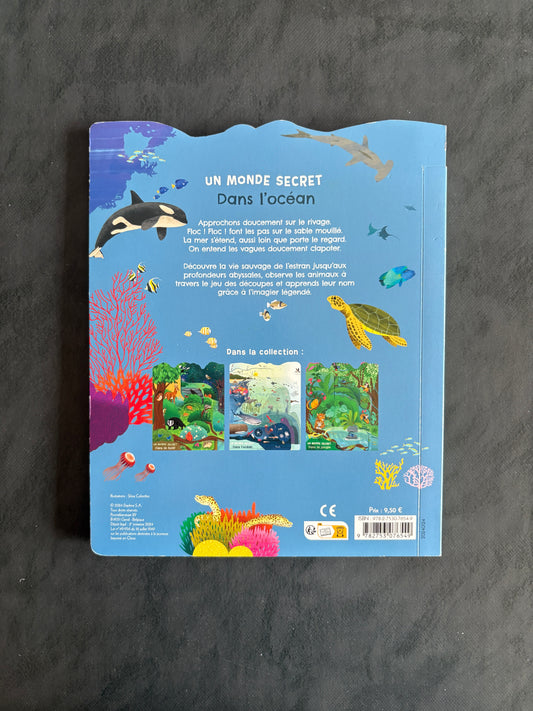 Un monde secret dans l'océan