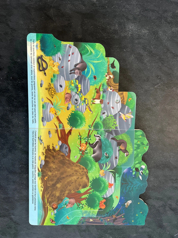 Un monde secret dans la forêt